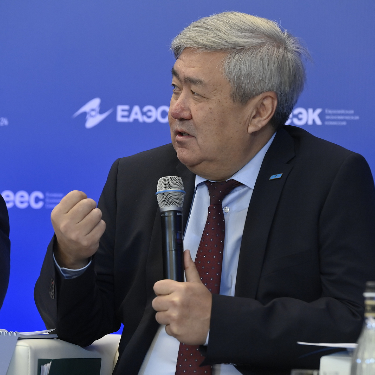 Евразийская экономическая интеграция в энергетическом секторе: вызовы и преимущества
